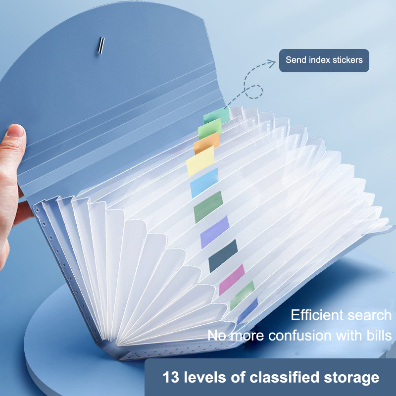 ~13 tasche, cartella portadocu - Expandable Accordion File Folder 13 Pockets recensione e prezzo