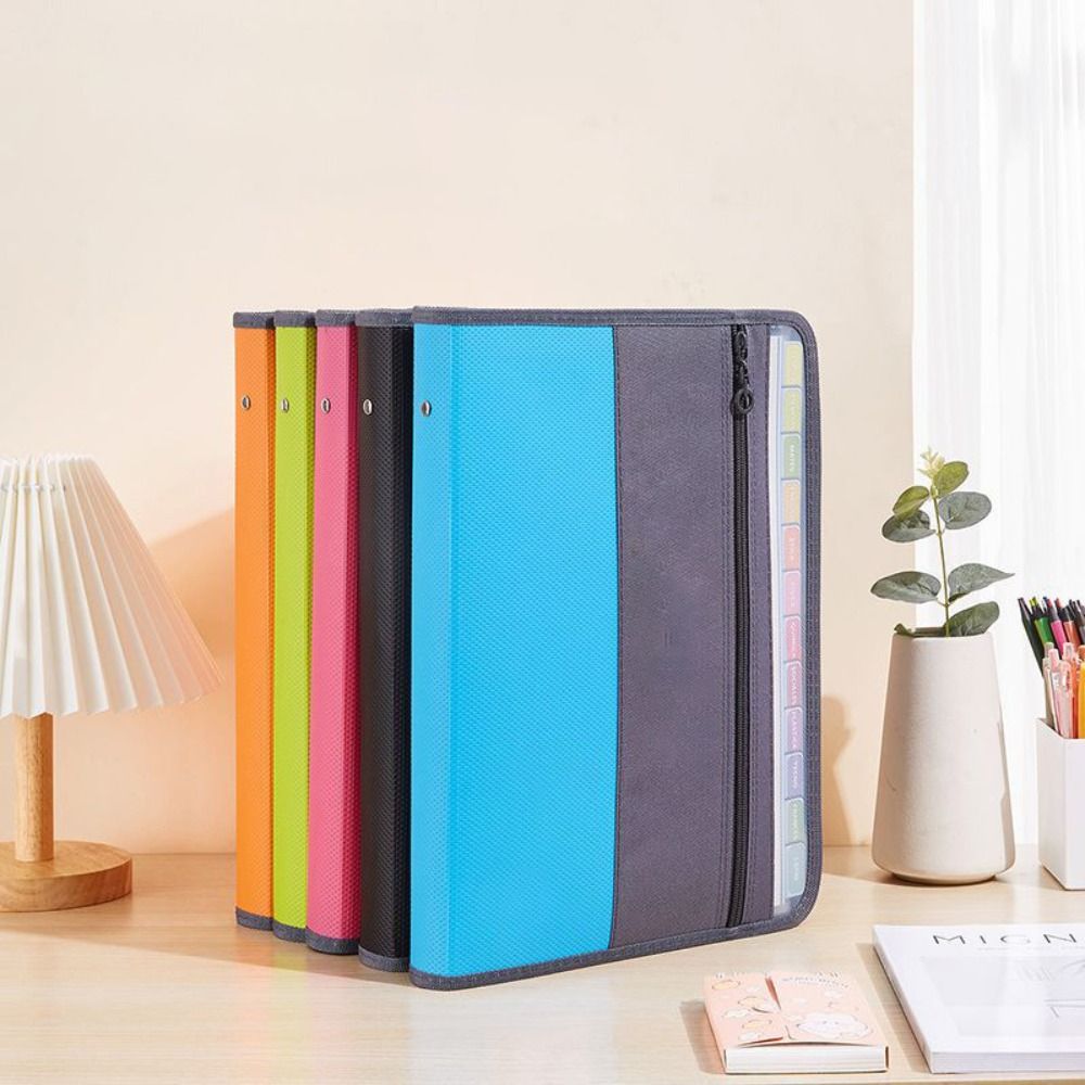 Organizzatore di Documenti Esp - Expandable Accordion File Folder 13 Pockets recensione e prezzo