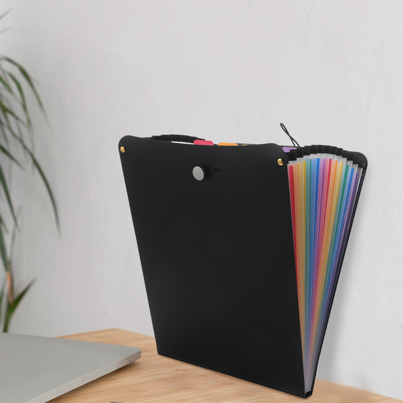 Organizzatore per documenti a  - Expandable Accordion File Folder 13 Pockets recensione e prezzo